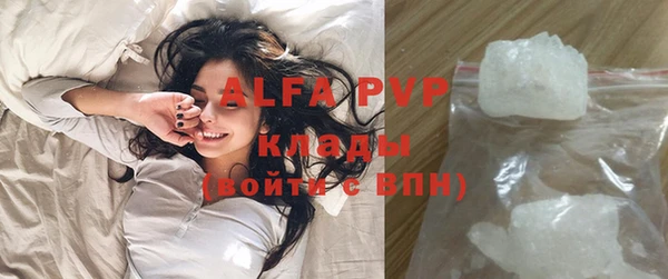прущие крисы Белокуриха