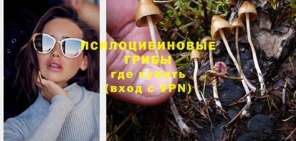 apvp Белоозёрский