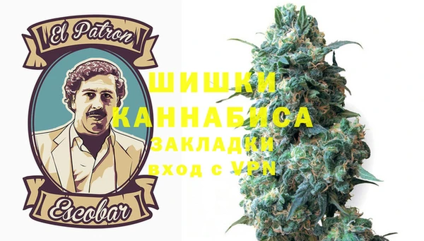 прущие крисы Белокуриха