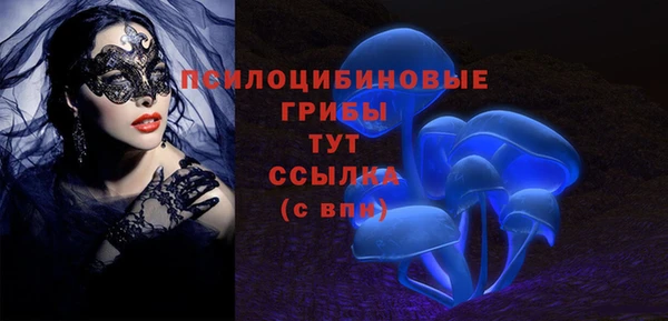 прущие грибы Балахна