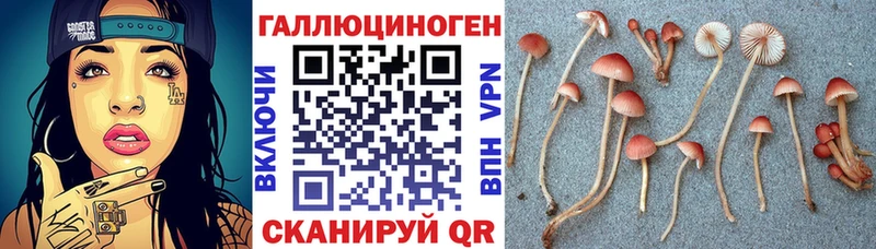Псилоцибиновые грибы MAGIC MUSHROOMS Кувандык